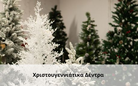 xmas Χριστουγεννιατικα δεντρα