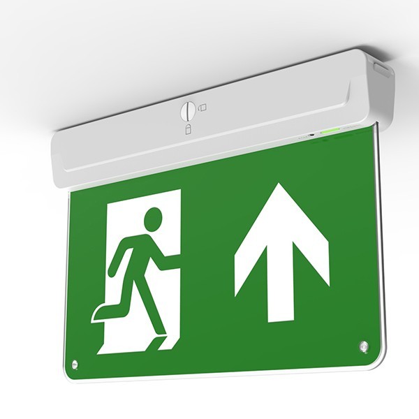 EMERGENCY LIGHT CEILING-WALL MOUNT MAINTAINED 30 SMD LED 3W IP20