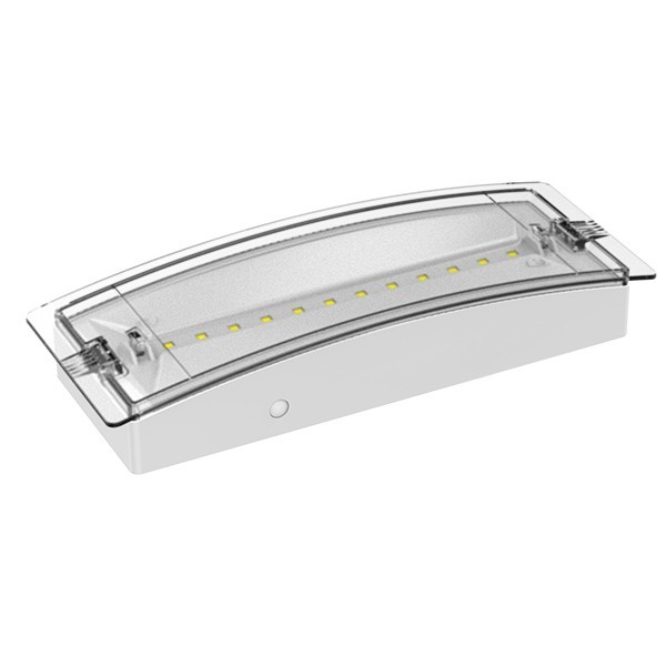 EMERGENCY LIGHT MAINTAINED 12 LED SMD 3W IP65 6500K