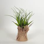 REED IN A GUNNY POT, WHITE-NATURAL, 38cm