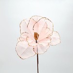 ANEMONE, PINK, 26x45cm