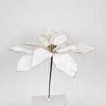 GRANDE POINSETTIA, IVORY, 50x45cm