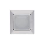 EARTHED SOCKET OUTLET WITH COVER SILVER