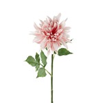 ΛΟΥΛΟΥΔΙ / ΚΛΑΔΙ ΡΟΖ 62cm