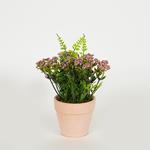 PLANT IN A POT, GREEN-LIGHT PINK, 16cm