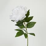 FLOWER, PEONIES, WHITE, 60cm