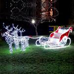 PROFESSIONAL DESIGN, SLEIGH WITH DEERS 3D WHITE LED ROPE LIGHT,  WITH WHITE AND RED LED 500χ190 IP44