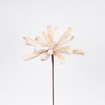 FLOWER BOW, CHAMPAGNE, 25x45cm
