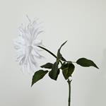 FLOWER, DAΗLIA, WHITE, 60cm