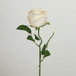 FLOWER/BRANCH, ROSE, WHITE, 51cm