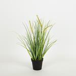 PLANT IN A POT, PLASTIC, WHITE- BLACK, 36cm