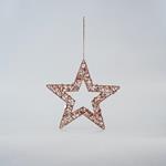 STAR WITH SPANGLE, CHAMPAGNE, 25cm