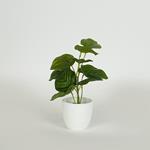 PLANT 20cm, IN A POT, PLASTIC, WHITE