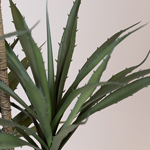 YUCA PLANT, IN A POT,  PLASTIC, BLACK, 120cm