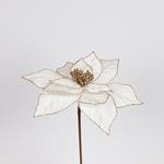 POINSETTIA IVORY, 30x44cm
