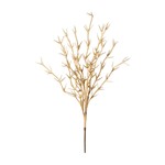 ΚΛΑΔΙ GRASS ΑΝΟΙΧΤΟ ΚΑΦΕ 114cm
