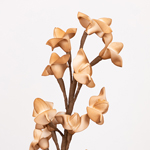ΛΟΥΛΟΥΔΙ/ΚΛΑΔΙ FOAM ΟΡΧΙΔΕΑ ΚΑΦΕ 20x95cm