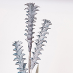 ΛΟΥΛΟΥΔΙ/ΚΛΑΔΙ FOAM ΑΛΟΪΔΕΣ ΓΑΛΑΖΙΟ 30x105cm