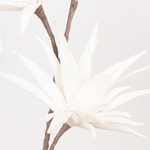 FLOWER/BRANCH FOAM STRELITZIA WHITE 30x93cm