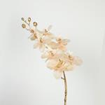 FLOWER, ORCHID, GOLD- IVORY-PINK, 75cm