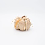 PUMPKIN, METALLIC DARK CHAMPAGNE, WITH FEATHER, 8x8cm