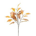 ΚΛΑΔΙ / ΦΥΛΛΑ ΦΘΙΝΟΠΩΡΙΝΑ ΠΟΛΥΧΡΩΜΟ 85cm