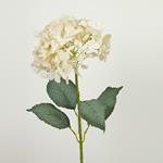 FLOWER/BRANCH, HYDRANGEA, WHITE, 77cm