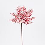 POINSETTIA, FROSTY CANDY, 27x45cm