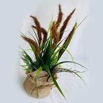 REED IN A GUNNY POT, BROWN-NATURAL, 38cm,