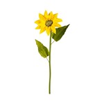 ΛΟΥΛΟΥΔΙ / ΚΛΑΔΙ ΚΙΤΡΙΝΟ 52cm