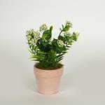PLANT IN A POT, GREEN-LIGHT PINK 17cm