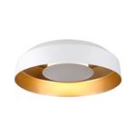 CEILING LIGHT FIXTURES 20W 3000K 1482Lm Φ400mm WHITE-GOLD ARTE ILLUMINA STIGMA