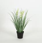 PLANT IN A POT, PLASTIC, WHITE- BLACK,  35,5cm