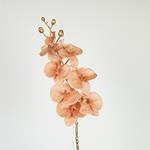 FLOWER, ORCHID, GOLD- SALMON,  75cm