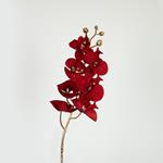 FLOWER, ORCHID, GOLD- RED,  75cm