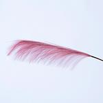 FEATHER, PINK, 79cm